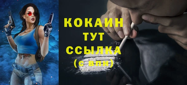 прущая мука Пересвет