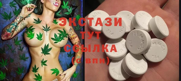 ECSTASY Алзамай