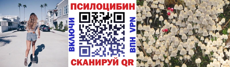 Галлюциногенные грибы MAGIC MUSHROOMS Невьянск